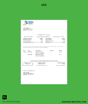Kanada Markham Stouffville Hospital Tıbbi Sigorta Hesap Özeti Şablon in .doc and .pdf format