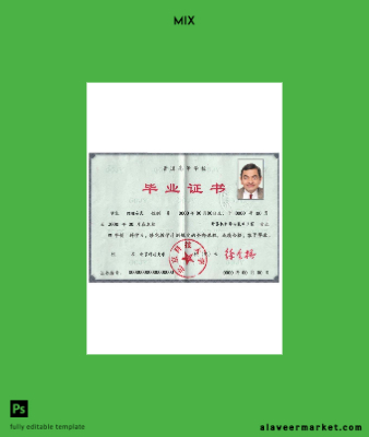 Chinese Diploma PSD