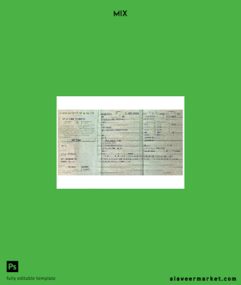 Almanya vehicle registration Sertifika