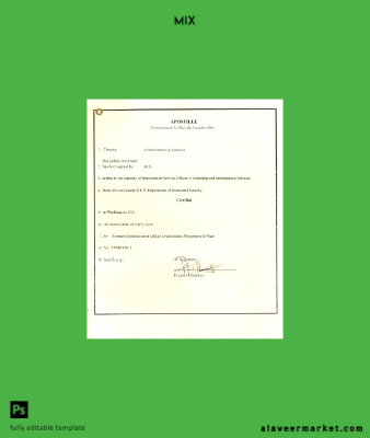 USA Apostille