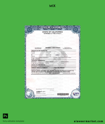 USA California Amendment to Birth Record 2 pages