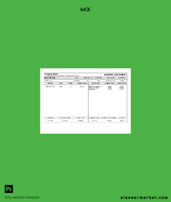 USA Michigan pay stub