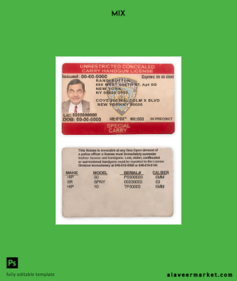 USA Yeni York unrestricted concealed carry Belge