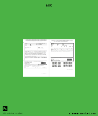 USA Notice of Action Form I-797B