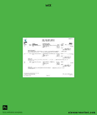 USA Oklahoma Adesa Auto Auction Fatura of Sale 9 pages