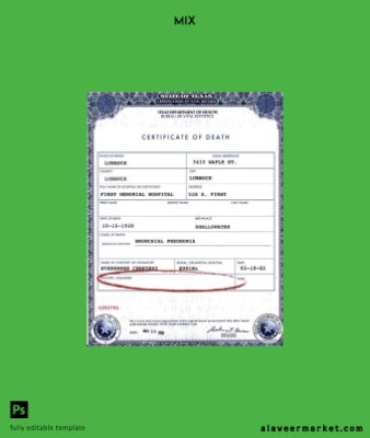 USA Texas department of Sağlık death Sertifika