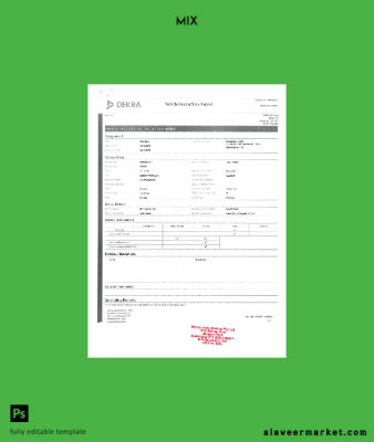 Vehicle Inspection reporT