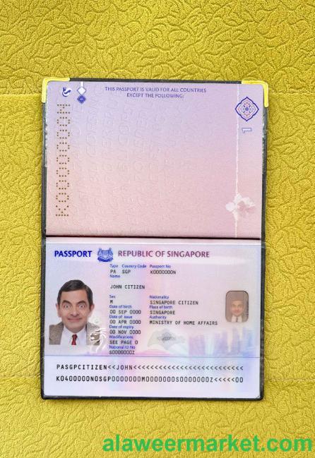 Singapore new passport (2017+) photo look