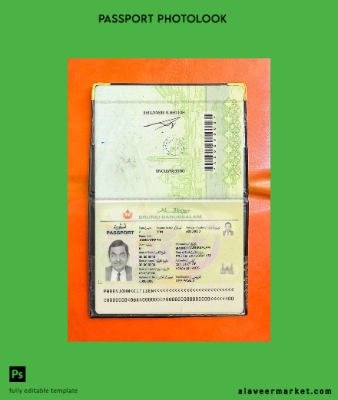 Brunei pass photo look