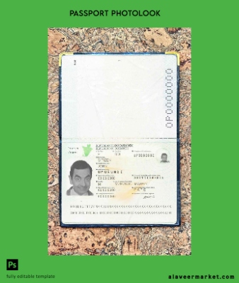 Burundi Pasaport (2011-2019) photo look