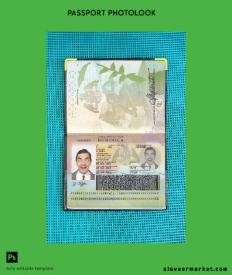 Dominican Pasaport photo look