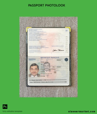 Fransa Pasaport 2019-present photolook