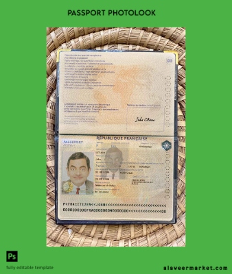 Fransa Pasaport version 2 photo look