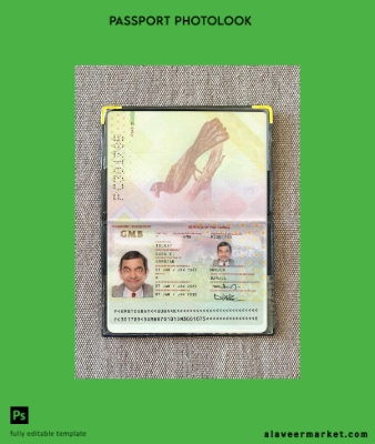 Gambia Pasaport 2025-present photolook