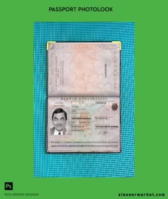 Macaristan Pasaport photo look
