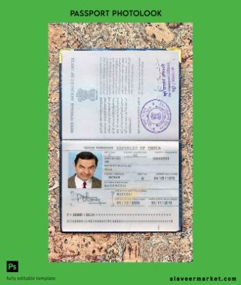 Hindistan Pasaport photo look