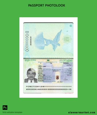 Irak Pasaport 2024-present