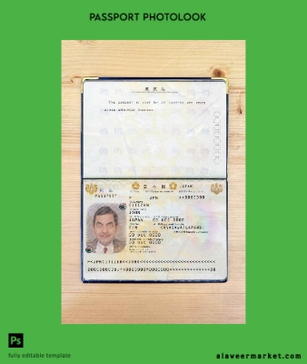 Japonya pass photo look