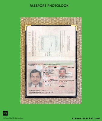 Meksika Pasaport 2017-present photolook