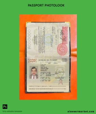 Paraguay Pasaport photo look
