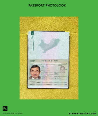 Peru pass photo look