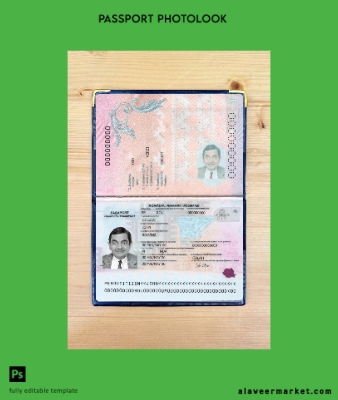 Romanya Pasaport 2021-present photolook