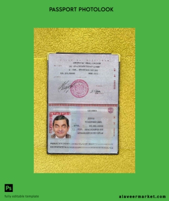Rusya Standard Pasaport photo look