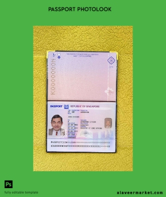 Singapur Yeni Pasaport (2017+) photo look