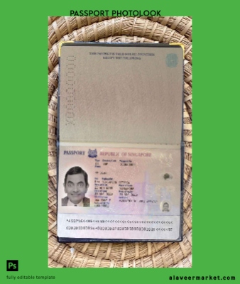 Singapur pass (2006-2017) photo look
