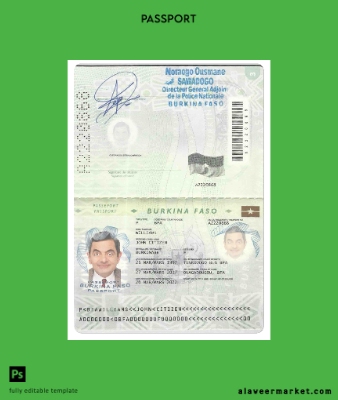 Burkina Faso Pasaport (2008 - 2018)