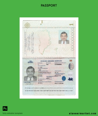 Danimarka Pasaport 2022-present