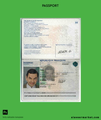 Fransa Pasaport