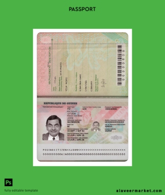 Guinea Pasaport (2018 present)