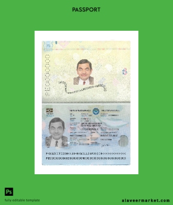 Kyrgyzstan Pasaport 2021-present
