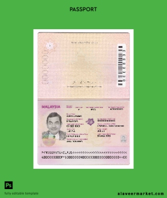 Malezya Pasaport (2010-2017)