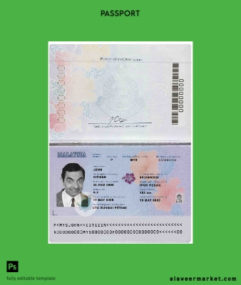 Malezya Pasaport (2017 – present)