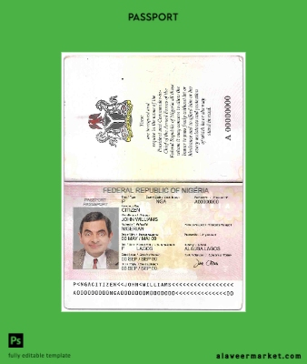 Nijerya Pasaport (2007-2019)