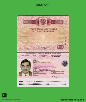 Rusya travel Pasaport