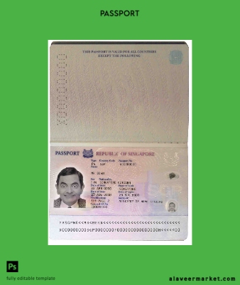 Singapur Pasaport (2006-2017)