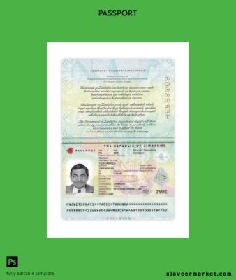 Zimbabwe Pasaport 2023-present