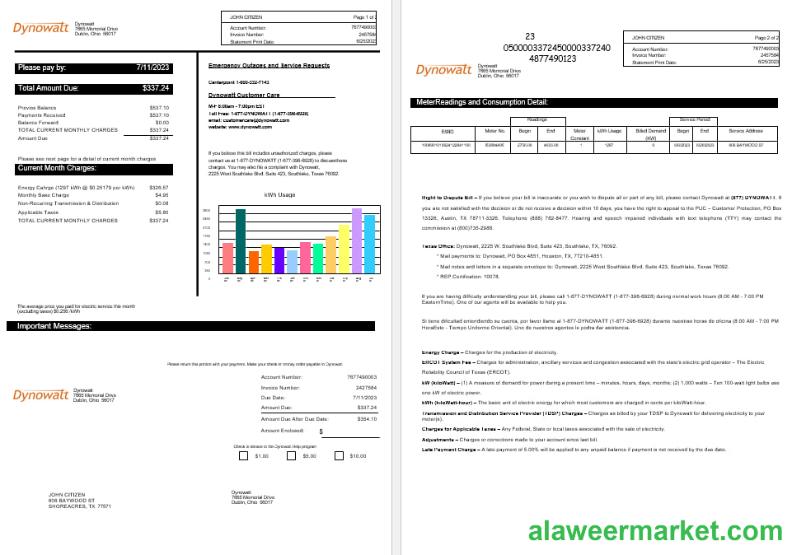 New York Dynowatt electricity utility bill Word and PDF formats