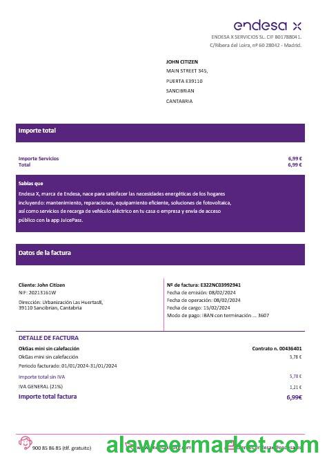 Spain Barcelona endesa X electricity utility bill Word and PDF formats