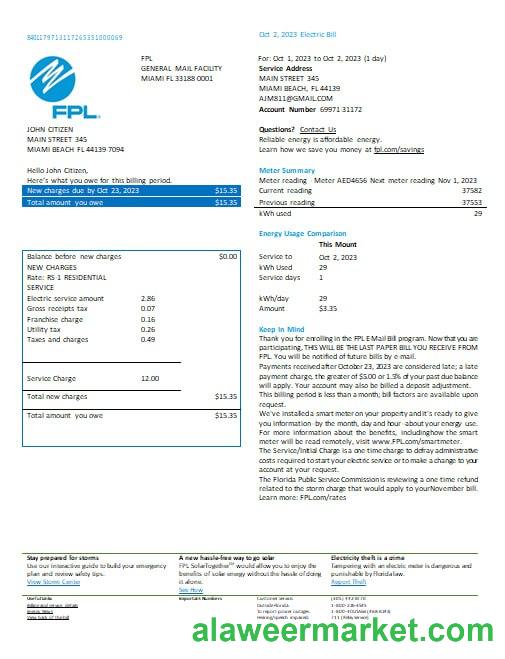 USA Florida FPL electricity utility bill Word and PDF formats, version 2