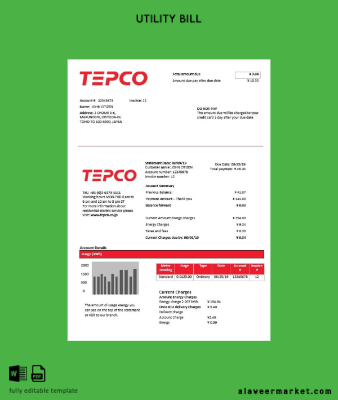 Japonya Tokyo Electric Power Şirket Elektrik Fatura Fatura