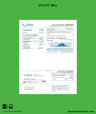 USA Hindistan Citizens Energy Group Fatura Fatura