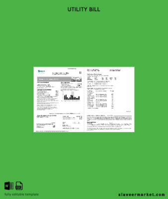 USA Maryland Pepco Fatura Fatura 3 pages 1 2