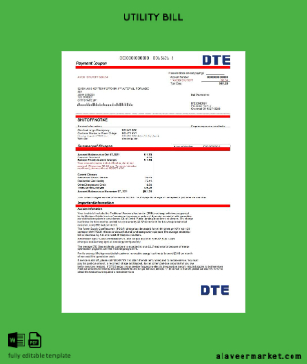 USA Michigan DTE Energy Fatura Fatura