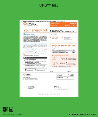 USA Yeni York PSEG Fatura Fatura Word and PDF Şablon 5 pages 1