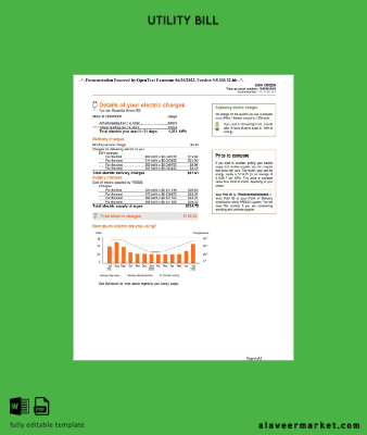 USA Yeni York PSEG Fatura Fatura Word and PDF Şablon 5 pages 4