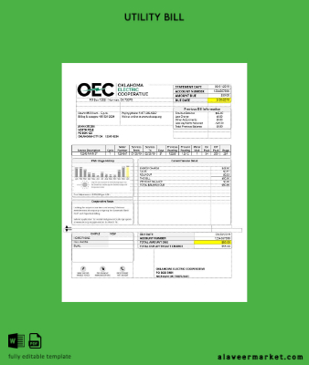 USA OEC Elektrik Fatura Fatura